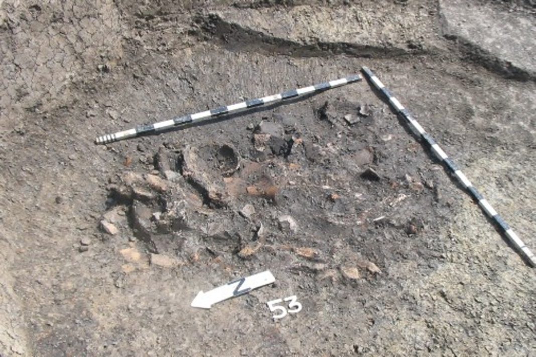 Amateur archaeologists discover rare winged goddess sculpture near Sycamore Gap