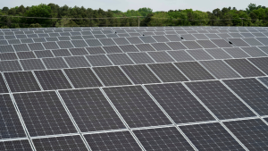 Smart tracking software automatically pivots each tower from sunrise to sunset, boosting efficiency by up to 50% compared to traditional flat panels. (REUTERS/Dane Rhys)