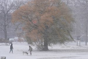 A couple walks their dog in Chicago, Illinois, on November 29, as snow blankets the city