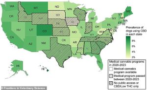 Prevalence of dogs in the 50 US states and Washington, DC with reported cannabidiol (CBD) use in the Dog Aging Project (DAP) alongside the legal access of state residents to medical cannabis. On average, 2,592 out of all 47,355 dogs in the DAP were reported with CBD use
