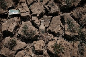 A bottle lies in the ground after the water dried out from Nallurahalli Lake in Bengaluru. (Photo: Reuters)