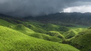 Dzukou Valley is battling a massive wildfire spreading from Nagaland to Manipur. From the chimney effect to exploding bamboo, there is science behind why this pristine landscape is currently a tinderbox. (Photo: Getty)