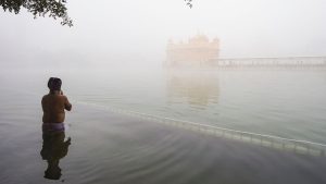 A person takes a dip in Amrit Sarovar on the Makar Sankranti festival, during a cold and foggy winter morning at the Golden Temple in Amritsar on January 14, 2026. (Photo: PTI)