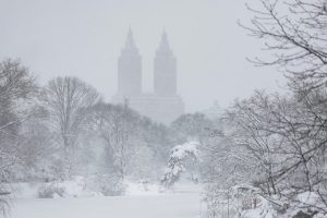 A view of Central Park as snow falls during the winter storm in New York City. (Photo: Reuters)