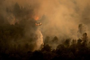 A helicopter drops water on a forest as it burns in California, US. (Photo by AP)