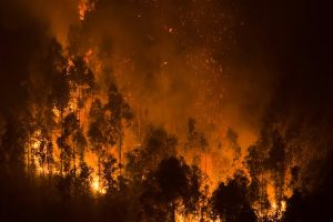 A wildfire burns near Concepcion, Chile. (Photo: AP)