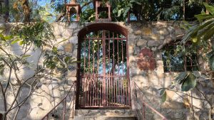 Daylight sample. (Shaurya Sharma - HT)