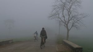 Fog in Nadia, West Bengal. (Photo: PTI)