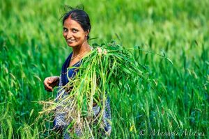 India through Mitsui’s lens