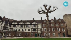 Camera sample. (Ijaj Khan - HT)