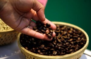 A visitor checks coffee beans at the 'International Coffee Festival 2007' in Bengaluru. (Photo: Reuters)