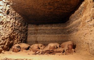 Mummies uncovered by Egyptian archaeologists at a site in the desert. (Photo: Reuters)