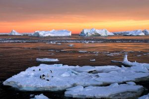 Adelie penguins stand atop ice near the French station at Dumont dUrville in East Antarctica. (Photo: Reuters)