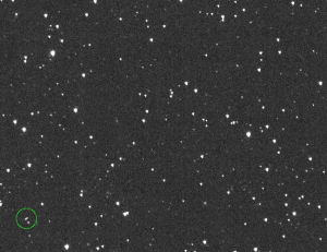 Asteroid 2024 Y24