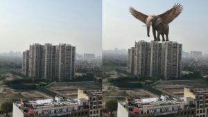 Samsung Galaxy S26 Plus camera sample. (HT/Shweta Ganjoo)