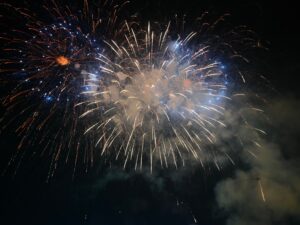 Xiaomi 17 Ultra retains good details in the highlights. (Shaurya Sharma)