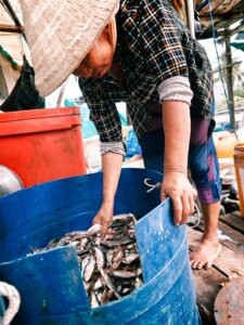 The primary sensor is large enough to create a shallow depth of field, without using the portrait mode. (Shaurya Sharma)