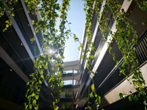 LOFIC in action. (Shaurya Sharma)