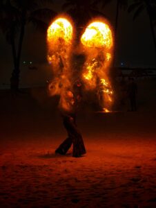 The telephoto lens also produced sharp results. (Shaurya Sharma)