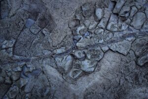 An abstract stone surface with natural cracks and textures caused by techtonic shifts. (Photo: Pexels)