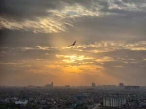 Samsung Galaxy S26 Plus camera sample. (HT/Shweta Ganjoo)