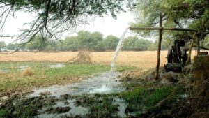 In central Punjab, the water table fell at 100 centimetres per year between 2000 and 2006, a rate that has continued to worsen under rising temperatures and intensive irrigation. (Photo: Reuters)