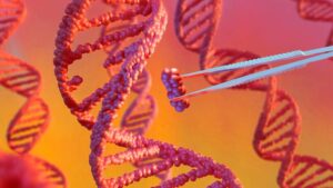 Unlike GMOs, which import genes from entirely different species, genome editing removes or adjusts a plant's existing DNA, the way tweezers might lift out a single faulty bead from a strand without disturbing any other. (Photo: Getty Images)