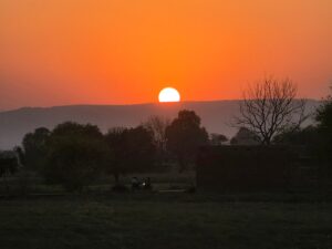 Zoom Sample - Galaxy S26 Ultra (Shaurya Sharma)