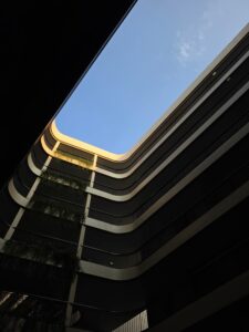 Dynamic Range Test - Galaxy S26 Ultra - Notice the details in the shadows (Shaurya Sharma)