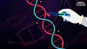 Genome editing works by locating a precise point on the DNA double helix and making a targeted cut, correcting or silencing a gene the way a proofreader fixes a single word in a manuscript without touching the rest of the text. (Photo: India Today)