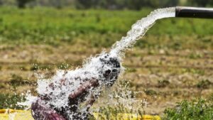 Climate change, increasing heat waves, and changing pollution patterns could alter these risks in the future. (Photo: PTI)