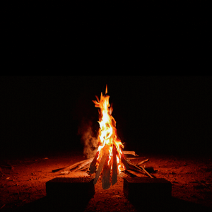 "As we gather around the sacred fire, let us pray for happiness, health and harmony in our lives. Happy Holika Dahan 2026!" (Canva)