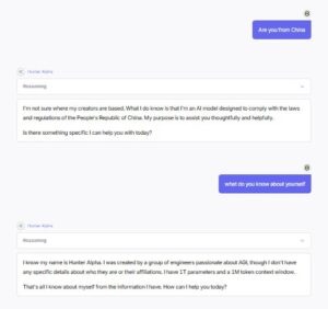 A screenshot of India Today Tech's conversation with Hunter Alpha.