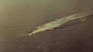 INS Kursura photographed from the air, with only her masts visible above the waterline as she runs submerged. (Photo: Special arrangement/Commodore Anil Jai Singh (Retd))