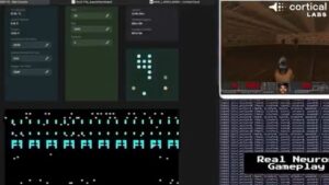 The neurons in DishBrain had no sensory history, no motor memory, and no evolutionary past, yet produced adaptive behaviour. Every existing theory of intelligence assumes learning requires experience to draw from. DishBrain had none, and it learned regardless. (Photo: X/@thecurioustales)