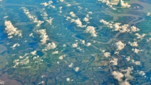 As ghost forests continue to spread, they may offer one of the clearest warnings.