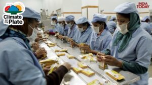 Dairy employees work inside the Dudhsagar milk dairy in Mehsana town near Ahmedabad. (Photo: Reuters)