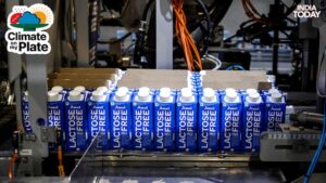 Amul Lactose Free Milk tetra packs go through a production line in Gujarat. (Photo: Reuters)