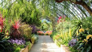 The Satpura Botanical Garden (Photo: maharashtratourism.gov.in)