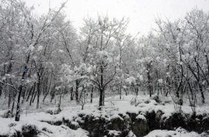 The Hindu Kush Himalaya recorded its lowest winter snow in over two decades, with snow persistence falling 27.8 per cent below average. (Photo: Reuters)
