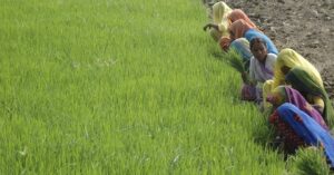 Village panchayats can now use satellite maps to plan borewells, roads and grazing land with precision. (Photo: Reuters)