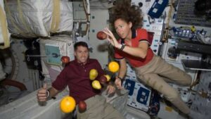 Your brain does not forget gravity easily. Even after months in space, astronauts grip things too hard because the brain keeps expecting objects to fall. New research explains this fascinating quirk of human neuroscience. (Photo: Nasa)