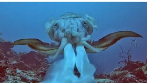 This is the first documented case of motion camouflage used during a hunt in any animal. (Photo: Science Advances)