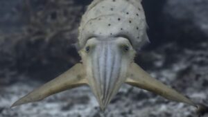 The broadclub cuttlefish seen performing leaf-mimicry. (Photo: Matteo Santon/University of Bristol)