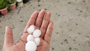Haryana was hit by heavy hailstorms on April 1, 2026. (Photo: X/@navdeepdahiya55)