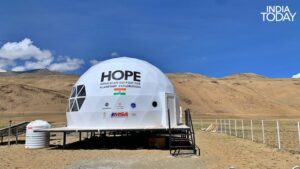 The hop habitat in Ladakh's Tso Kar valley. (Photo: India Today)