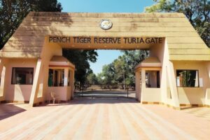 Pench National Park Nagpur (Photo: nagpurtourism)