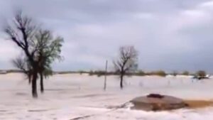 An expansive shot of the white blanket stretching across the horizon, highlighting the intensity of this rare weather event. (Photo: X/@ParveenKaswan)