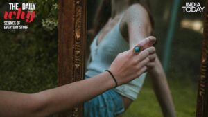 A person stands upright before a full length mirror. Because we never face a mirror upside down, top and bottom never get reversed in the reflection. (Photo: Reuters)