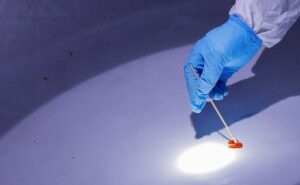 A member of a research team investigating emerging zoonotic diseases collects a sample